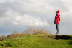 Oxford_Canal_North-1108.jpg