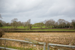 Oxford_Canal_North-586.jpg