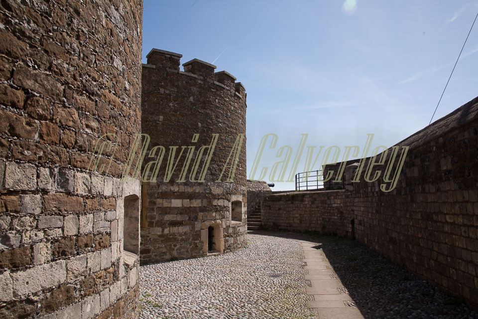 Deal_Castle_-009.jpg