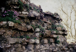 Brougham_Castle_-004.jpg