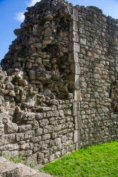 Conisborough_Castle-170.jpg
