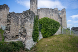 Conisborough_Castle-196.jpg