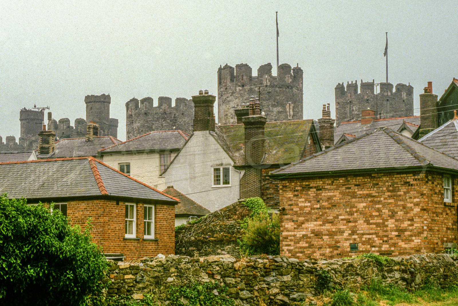 Conwy_Castle_-022.jpg