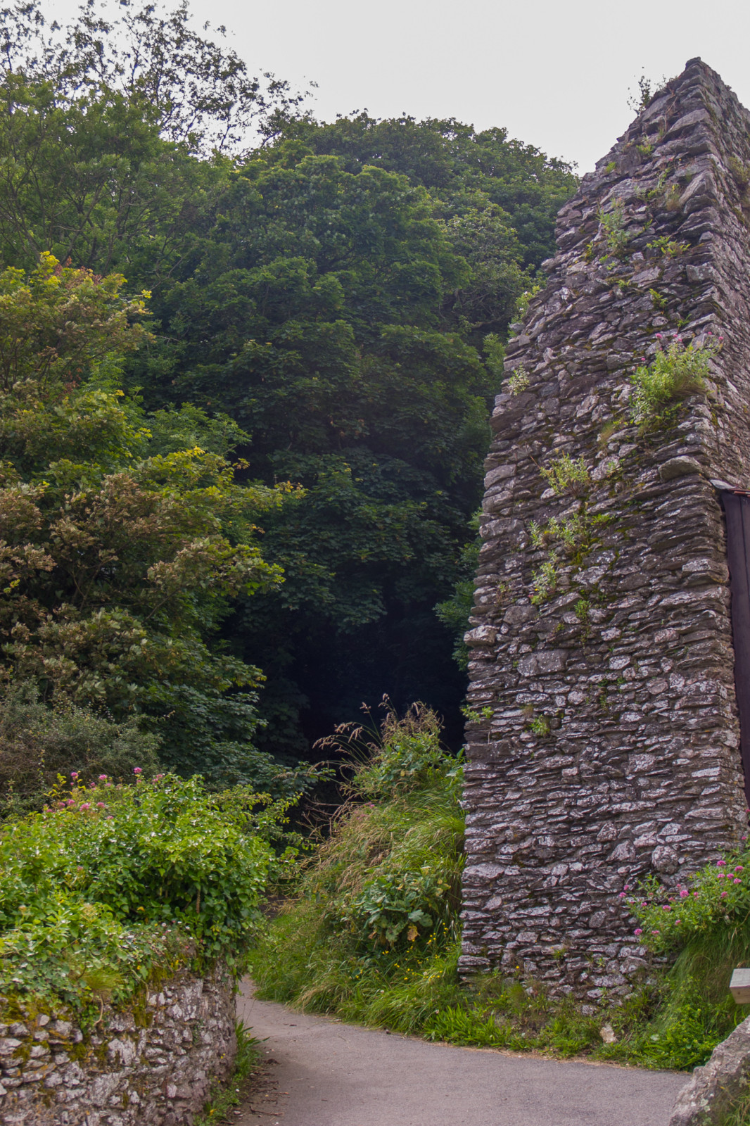 Dartmouth_Castle_-001.jpg