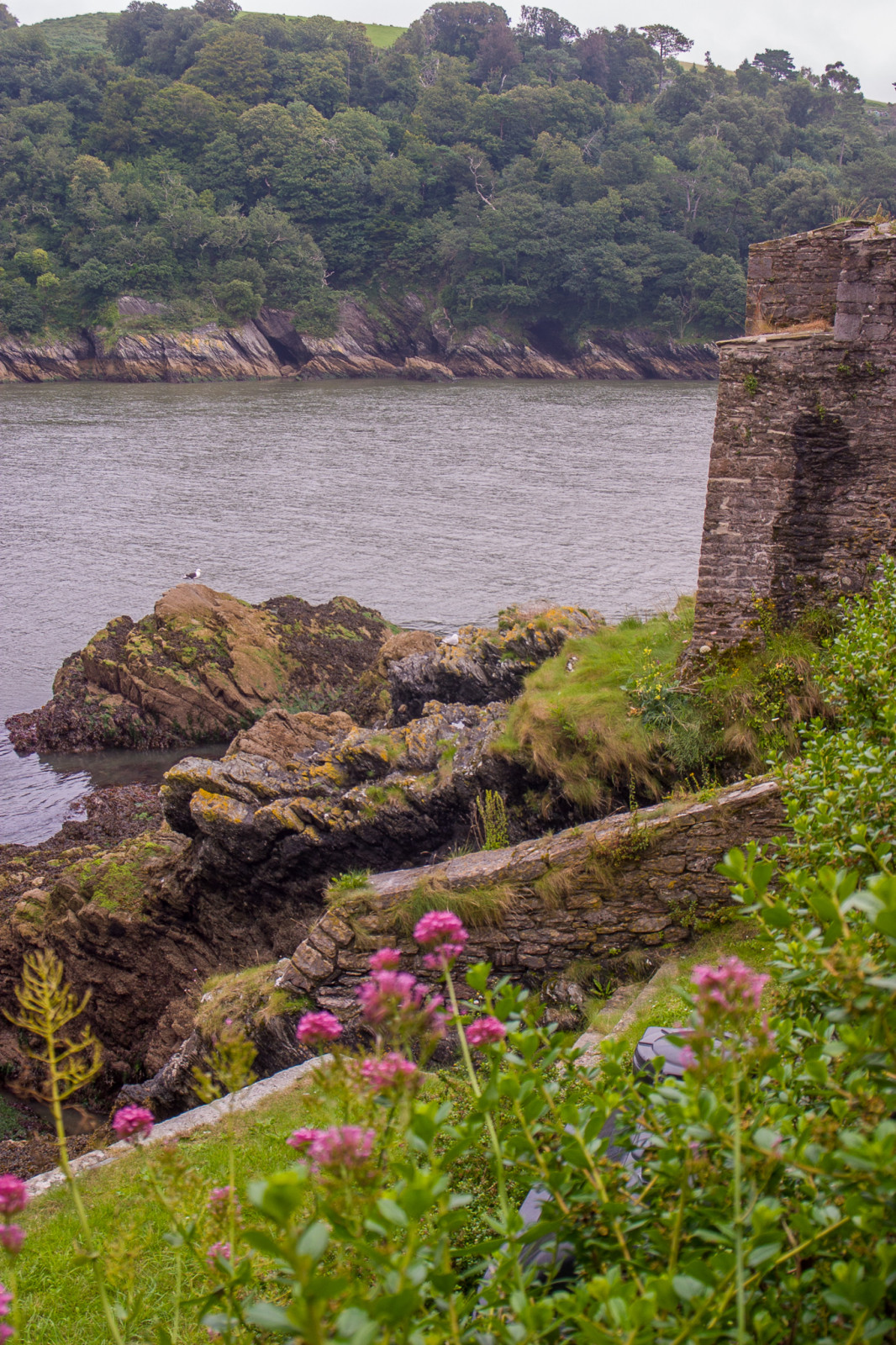 Dartmouth_Castle_-029.jpg