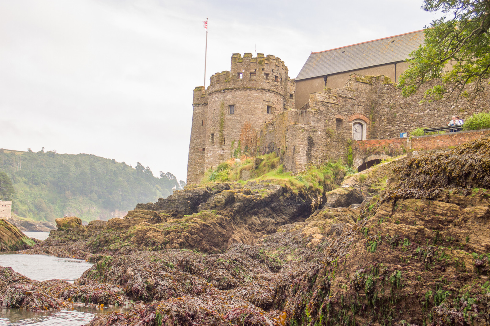 Dartmouth_Castle_-038.jpg
