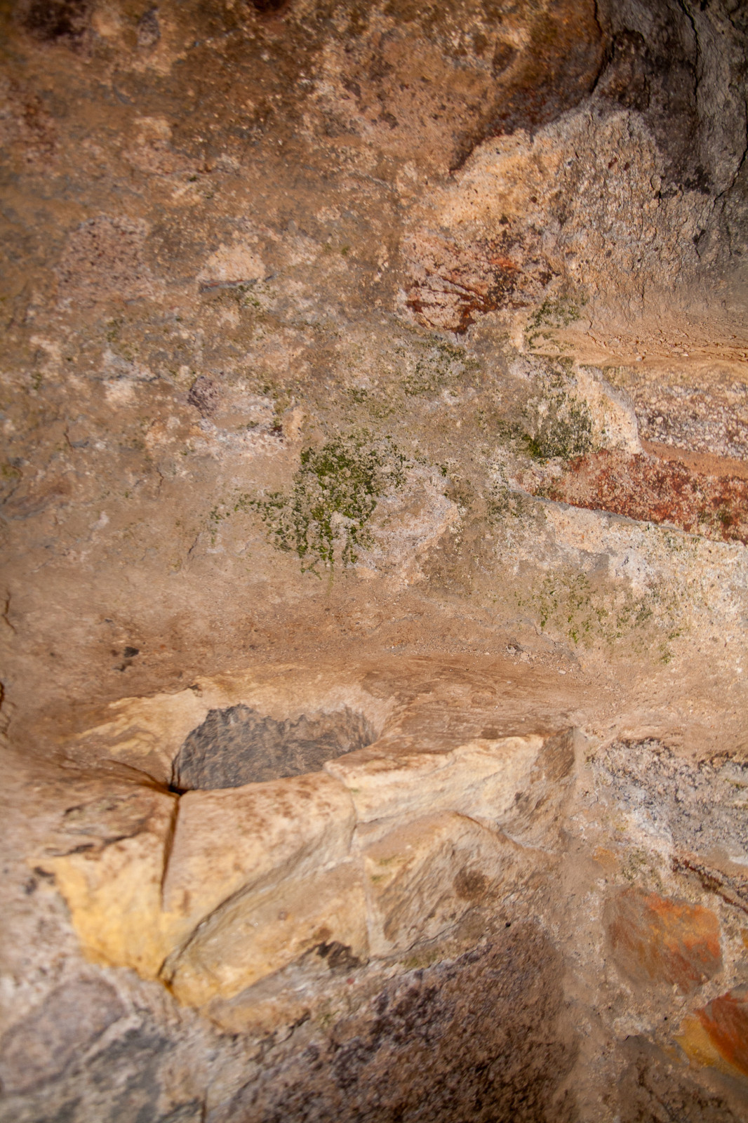 Dirleton_Castle_-035.jpg