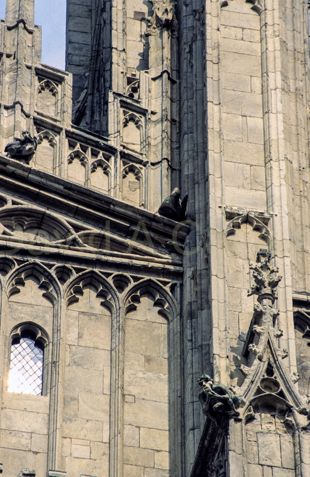 Beverley_Minster-019.jpg
