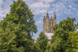 Canterbury_Cathedral-073.jpg
