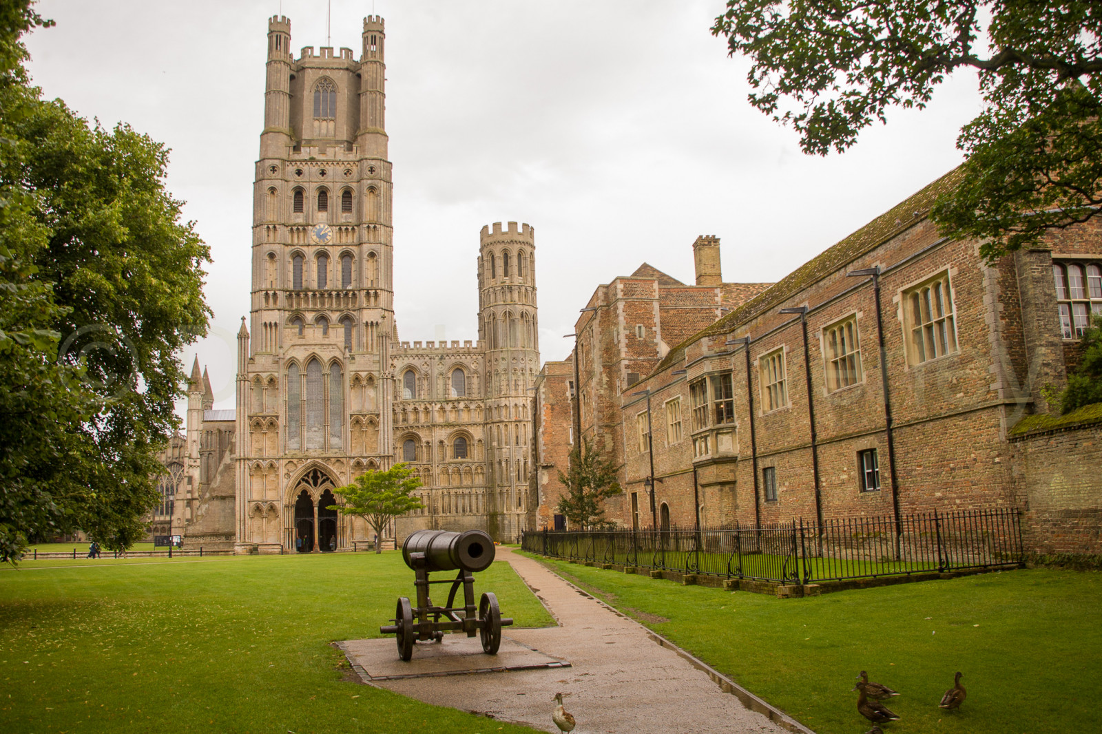 Ely_Cathedral_102.jpg