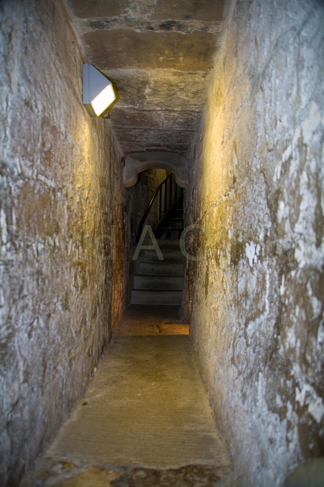 Ripon_Cathedral_-016.jpg
