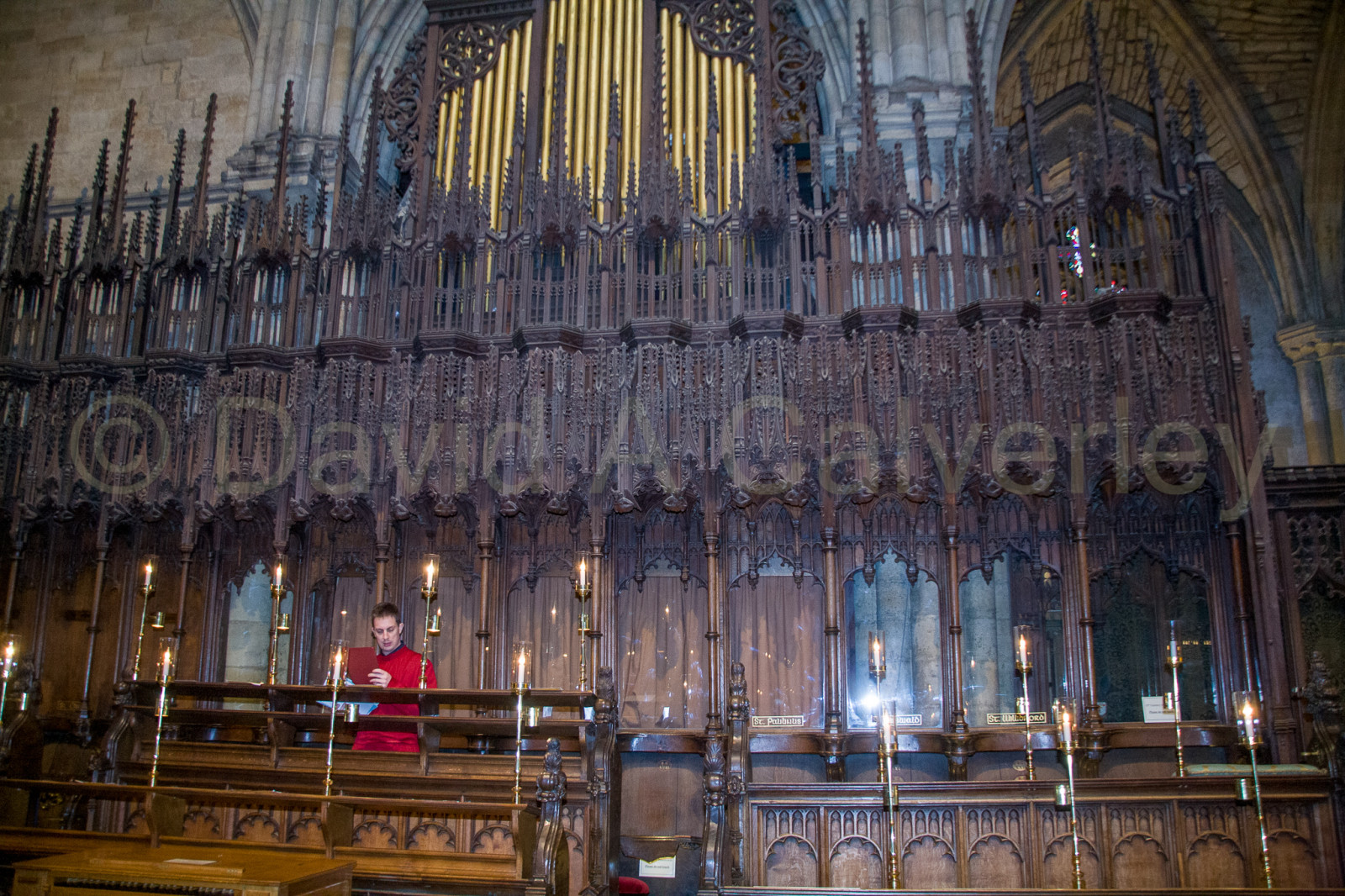 Ripon_Cathedral_-030.jpg