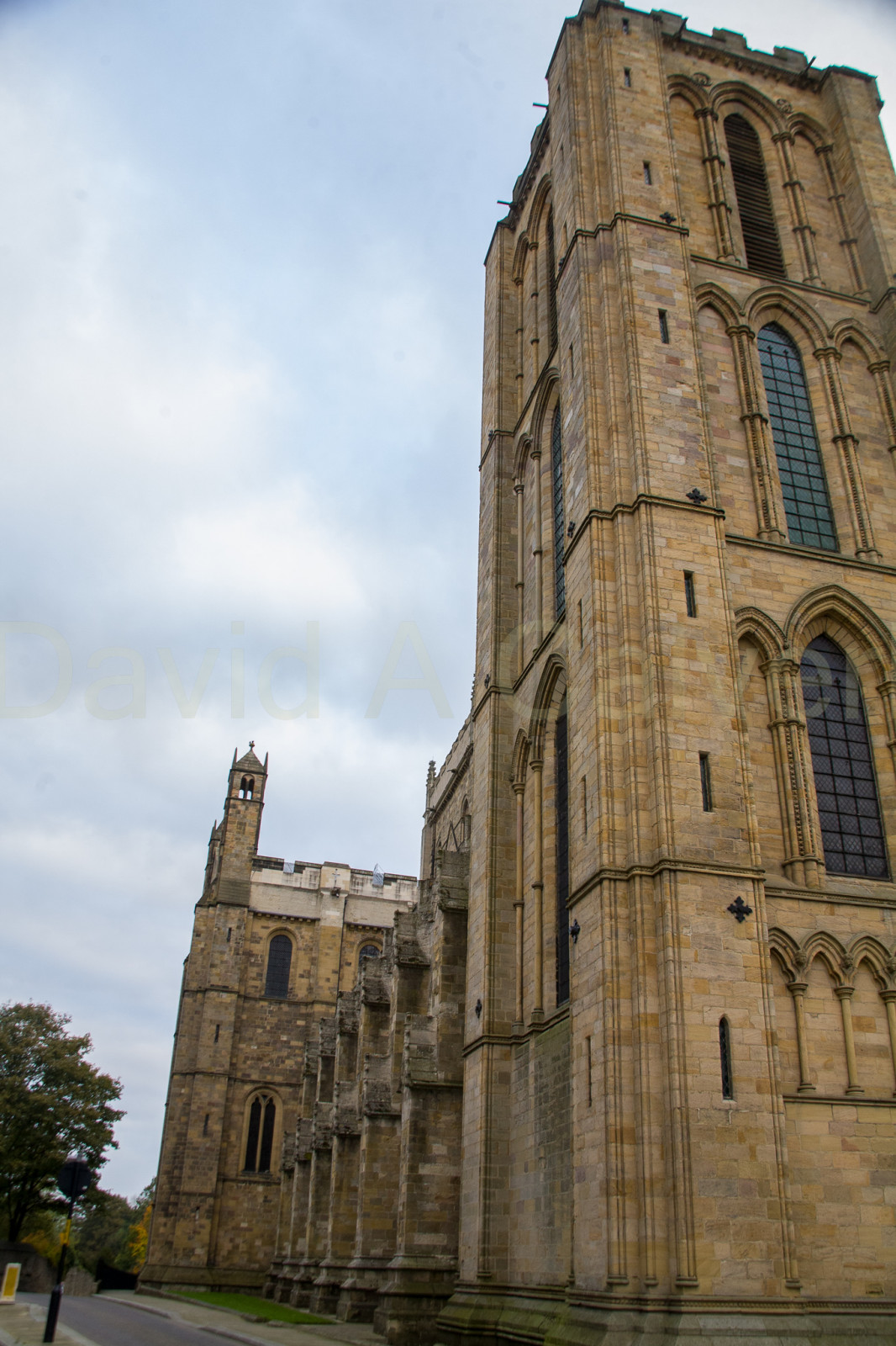 Ripon_Cathedral_-053.jpg