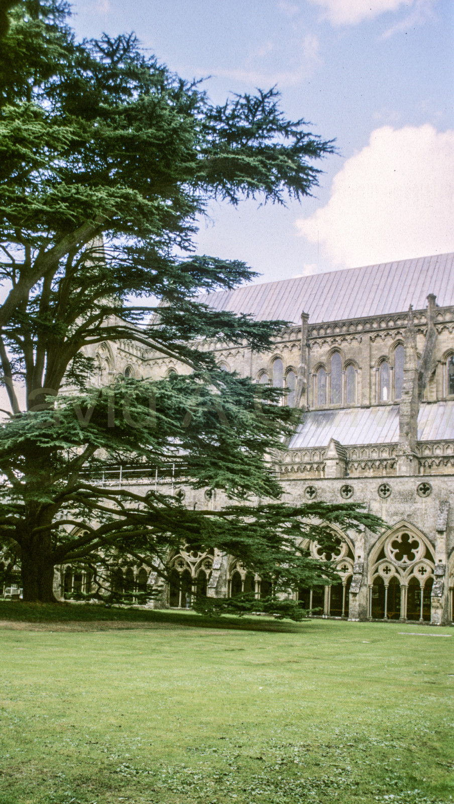 Salisbury_Cathedral_001.jpg
