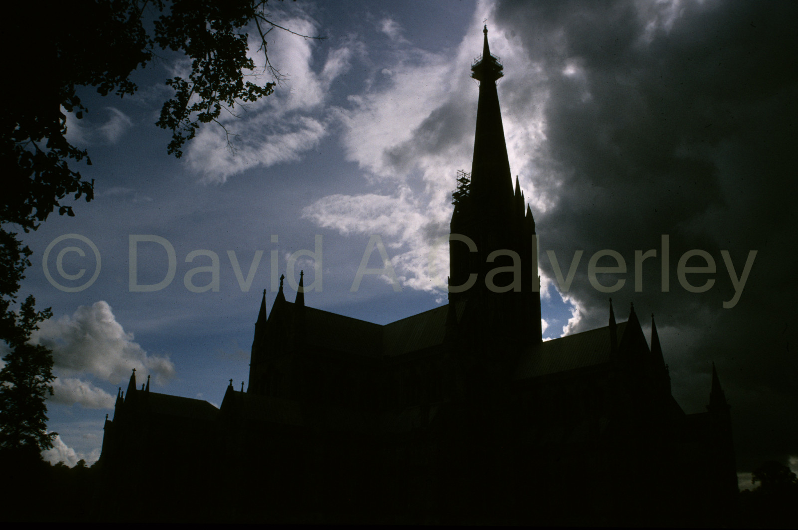 Salisbury_Cathedral_010.jpg