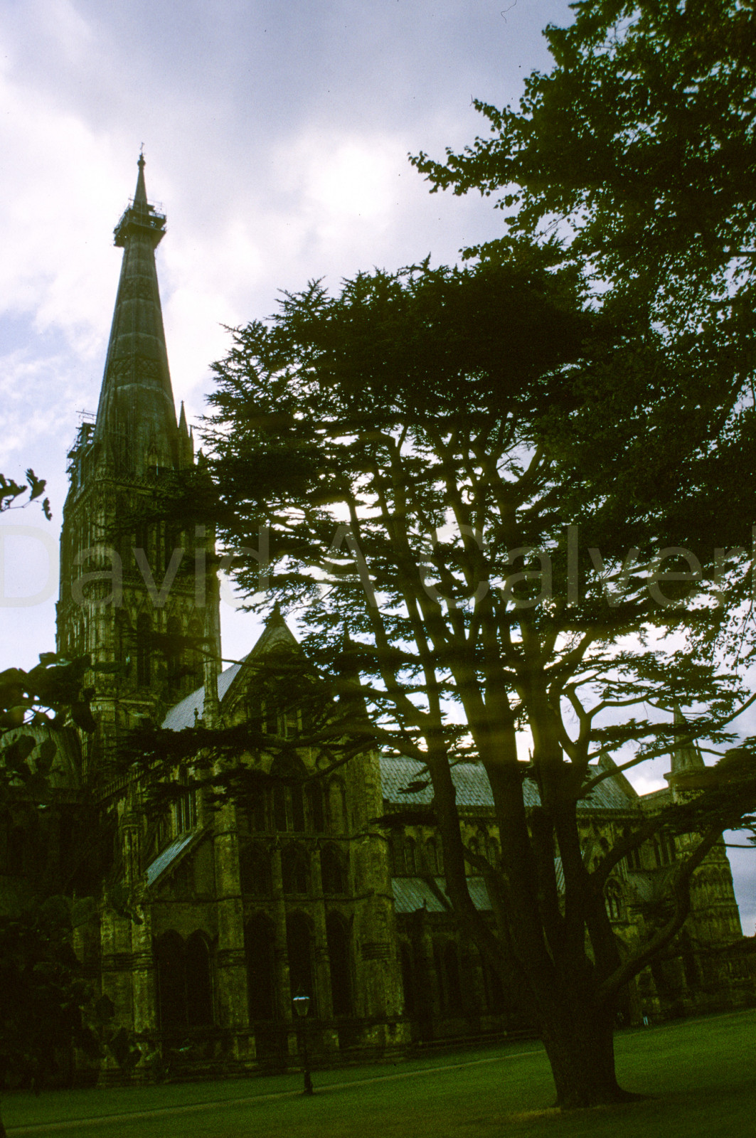 Salisbury_Cathedral_013.jpg
