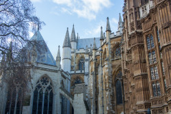Westminster-Abbey-205.jpg
