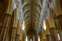 Westminster-Abbey-608.jpg