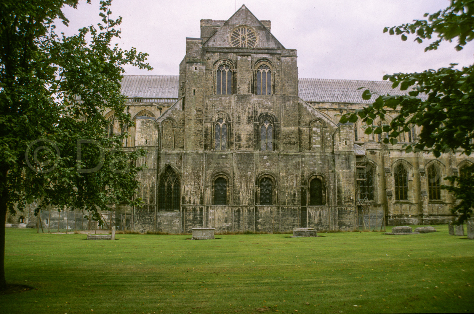 Winchester_Cathedral_004.jpg
