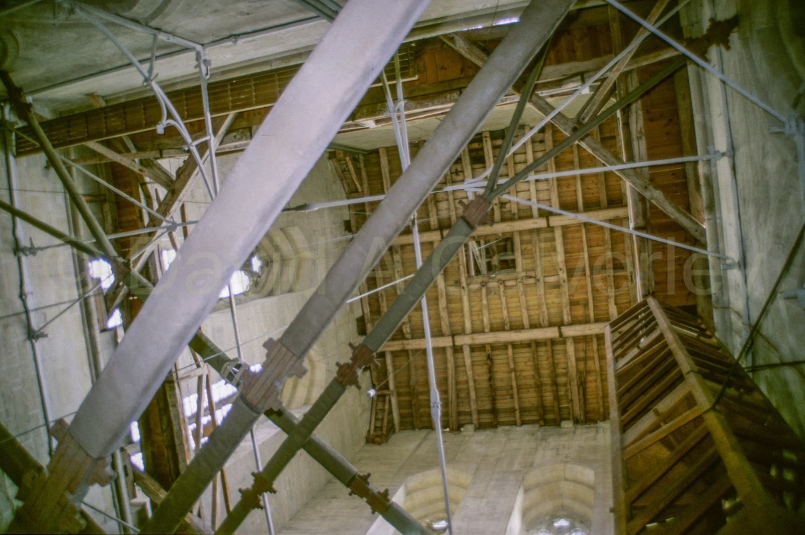 Winchester_Cathedral_025.jpg