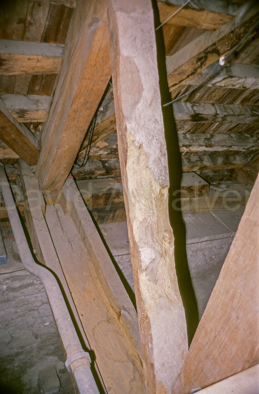 Winchester_Cathedral_036.jpg