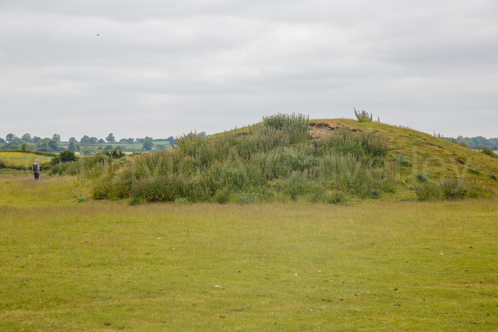 Thornborough_Henges-002.jpg