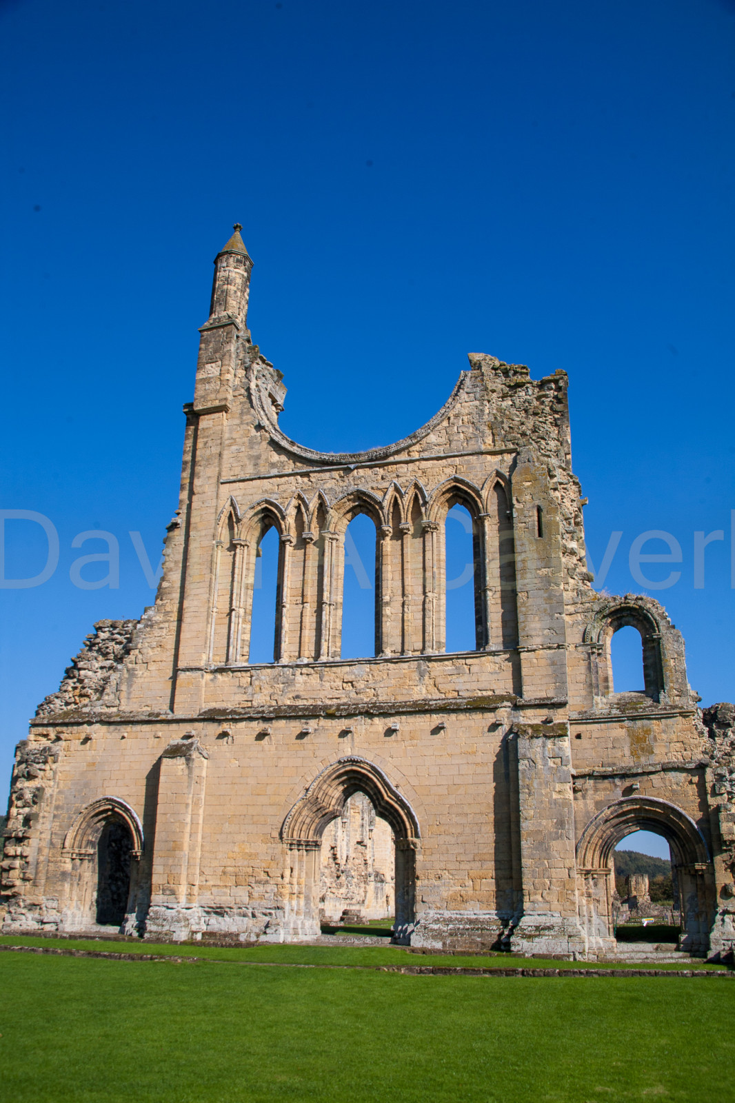 Byland_Abbey-003.jpg