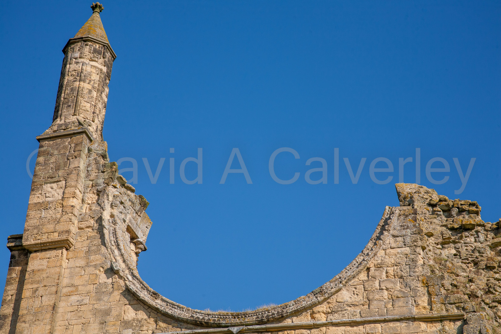 Byland_Abbey-004.jpg