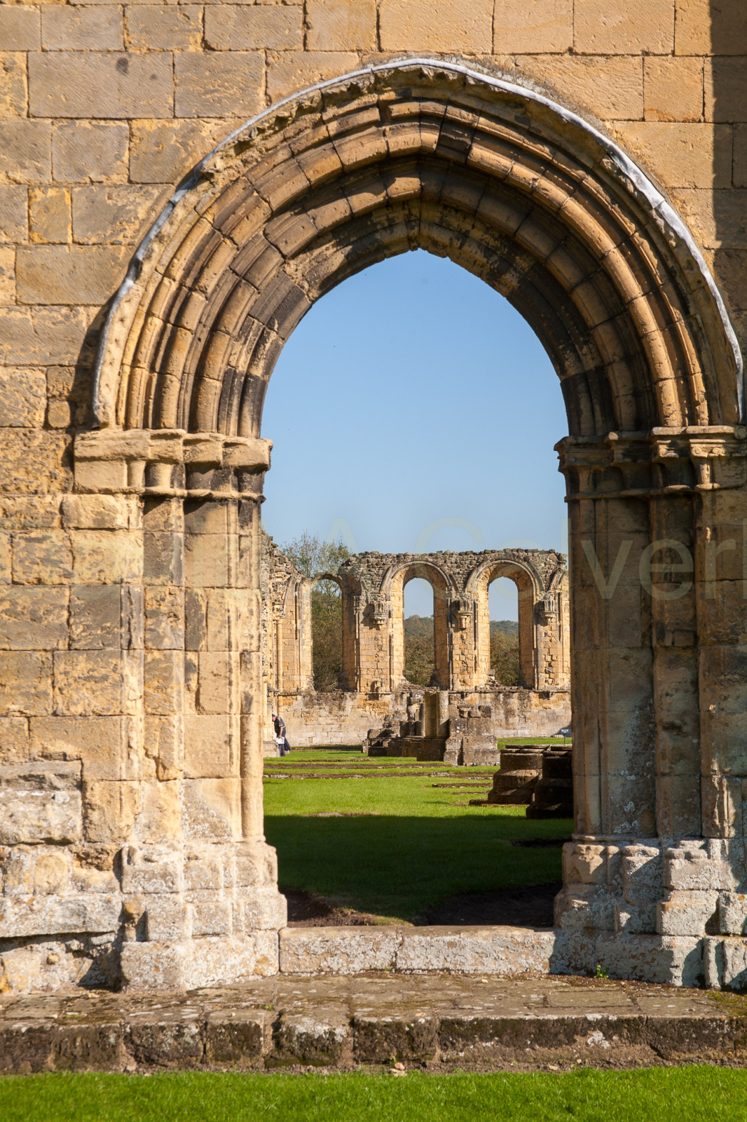 Byland_Abbey-005.jpg