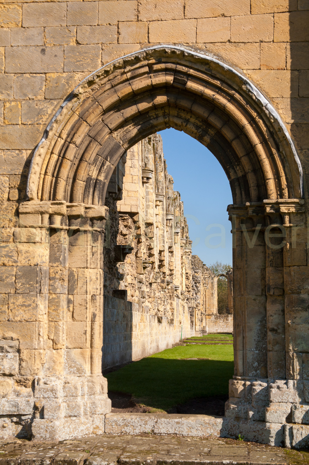 Byland_Abbey-006.jpg
