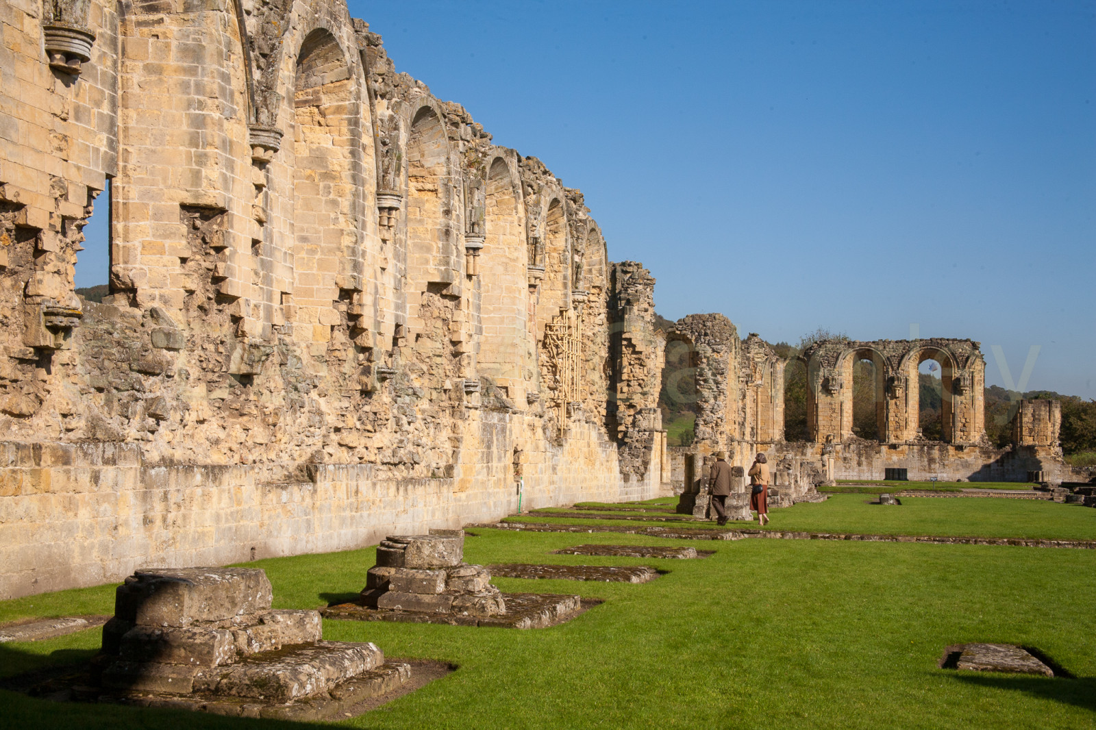 Byland_Abbey-008.jpg