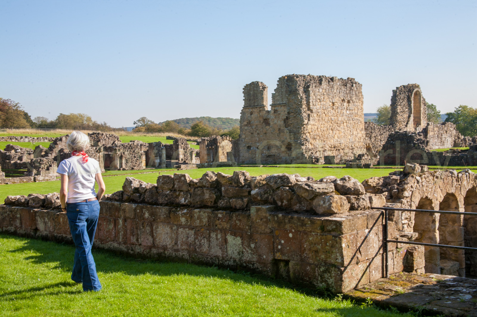 Byland_Abbey-009.jpg