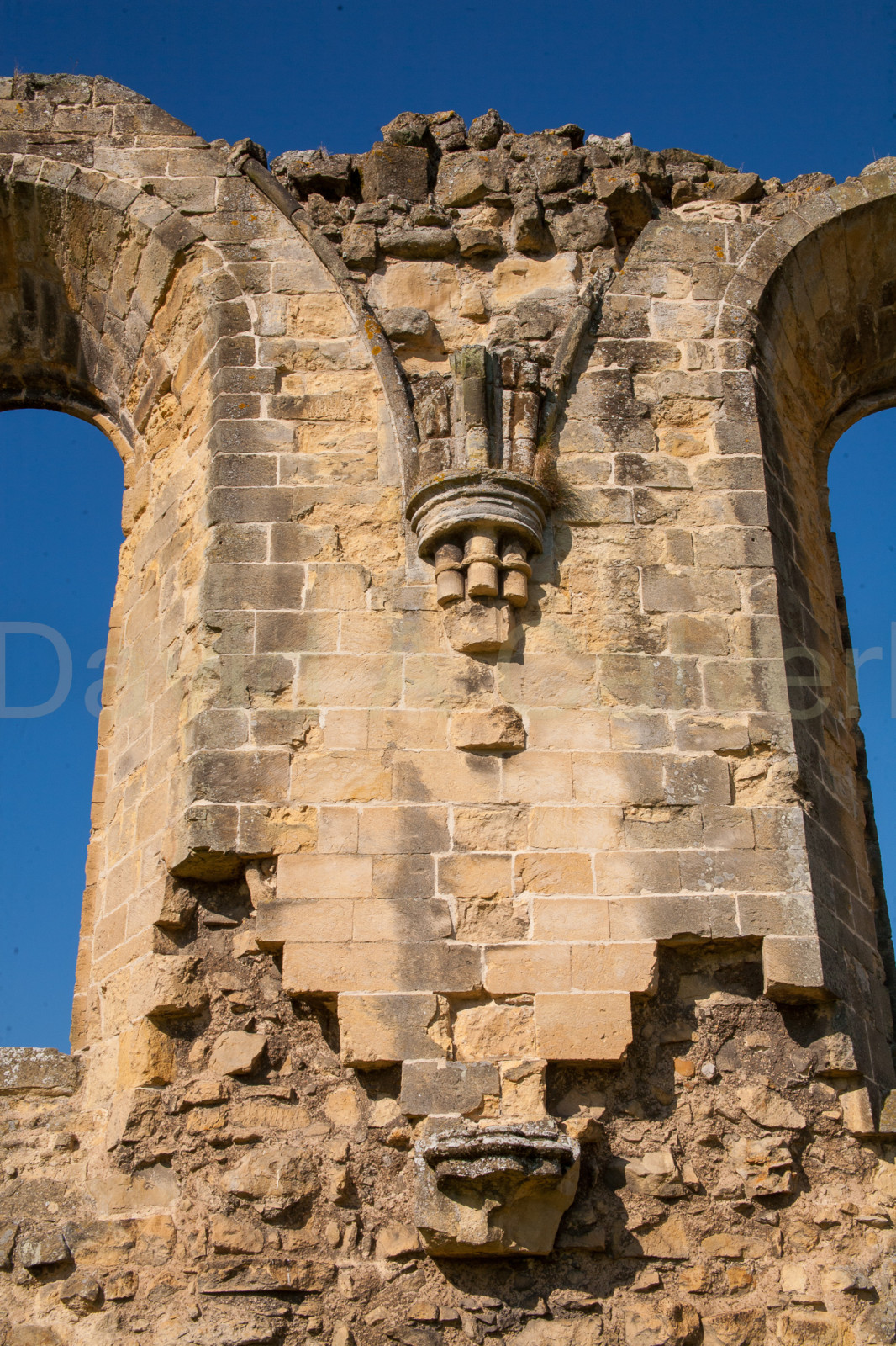 Byland_Abbey-010.jpg