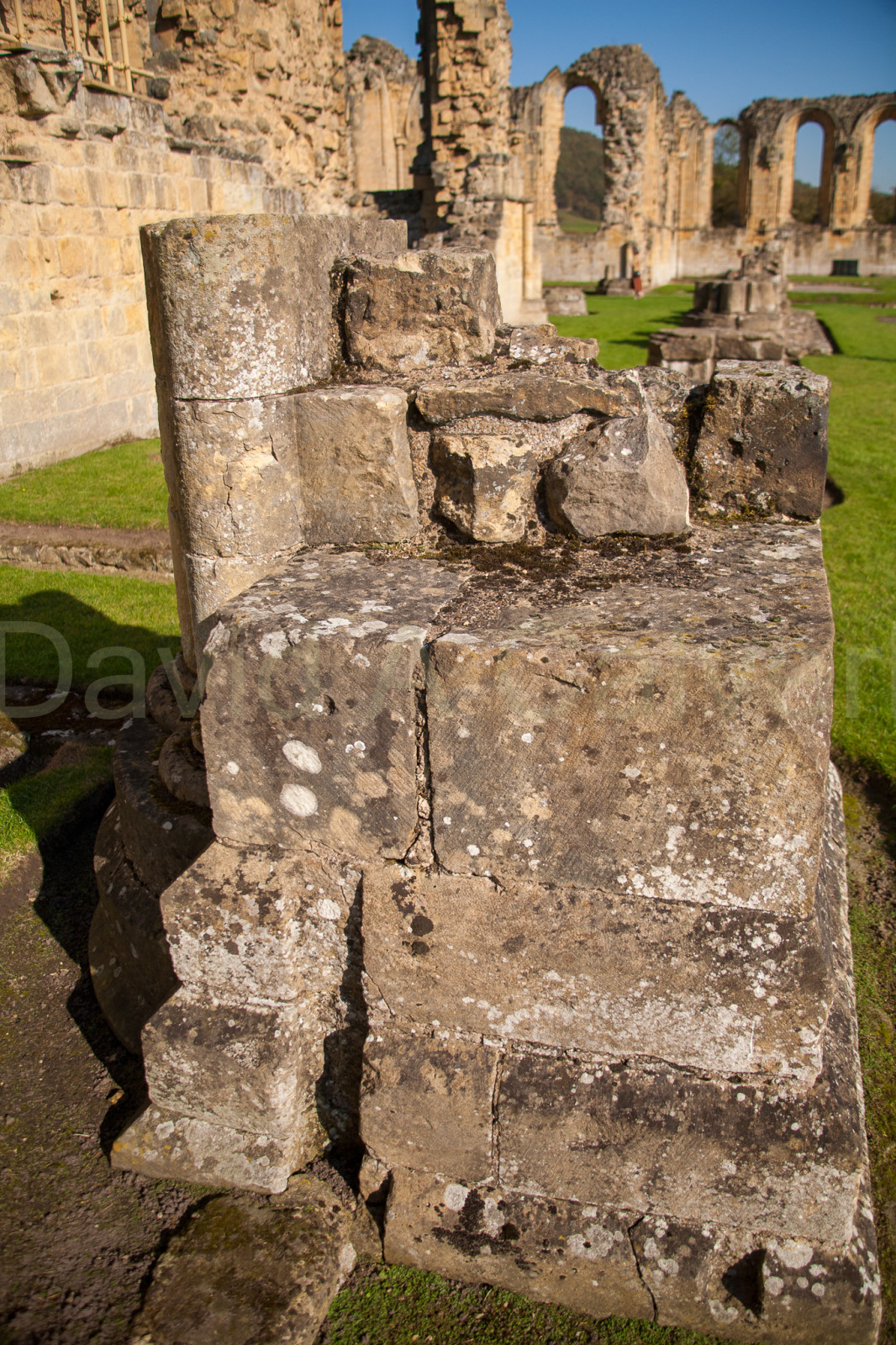 Byland_Abbey-012.jpg