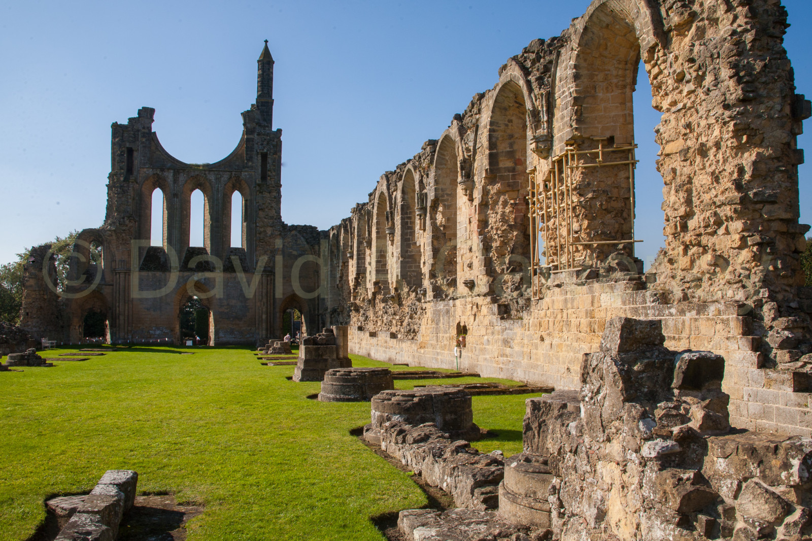 Byland_Abbey-014.jpg