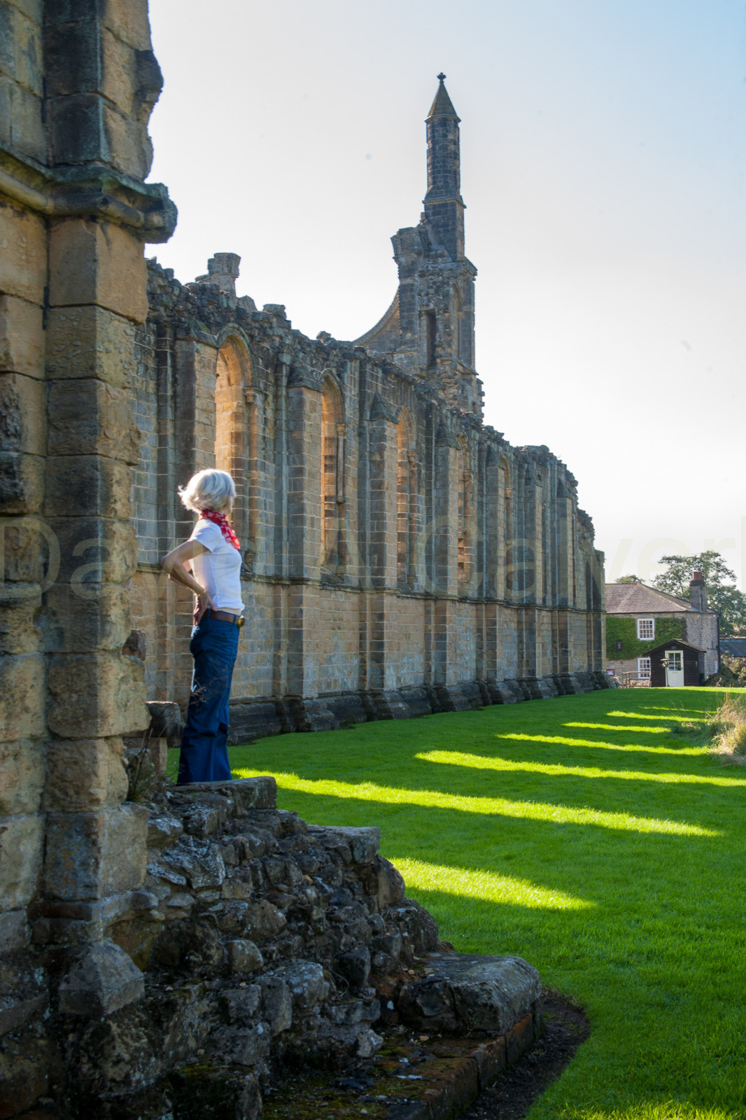 Byland_Abbey-018.jpg