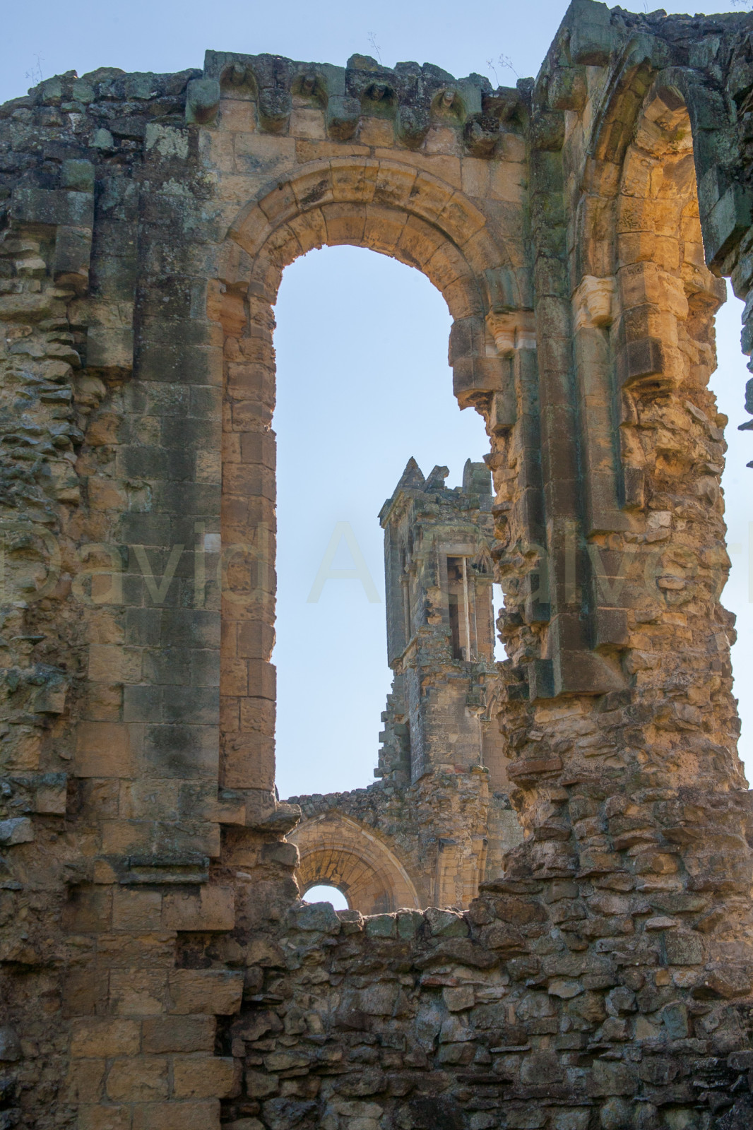 Byland_Abbey-022.jpg
