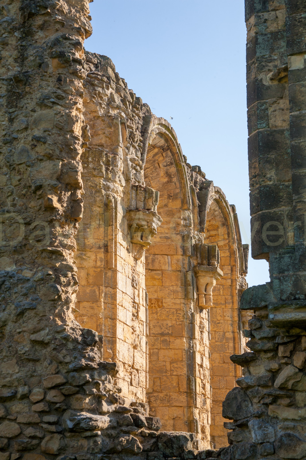 Byland_Abbey-023.jpg