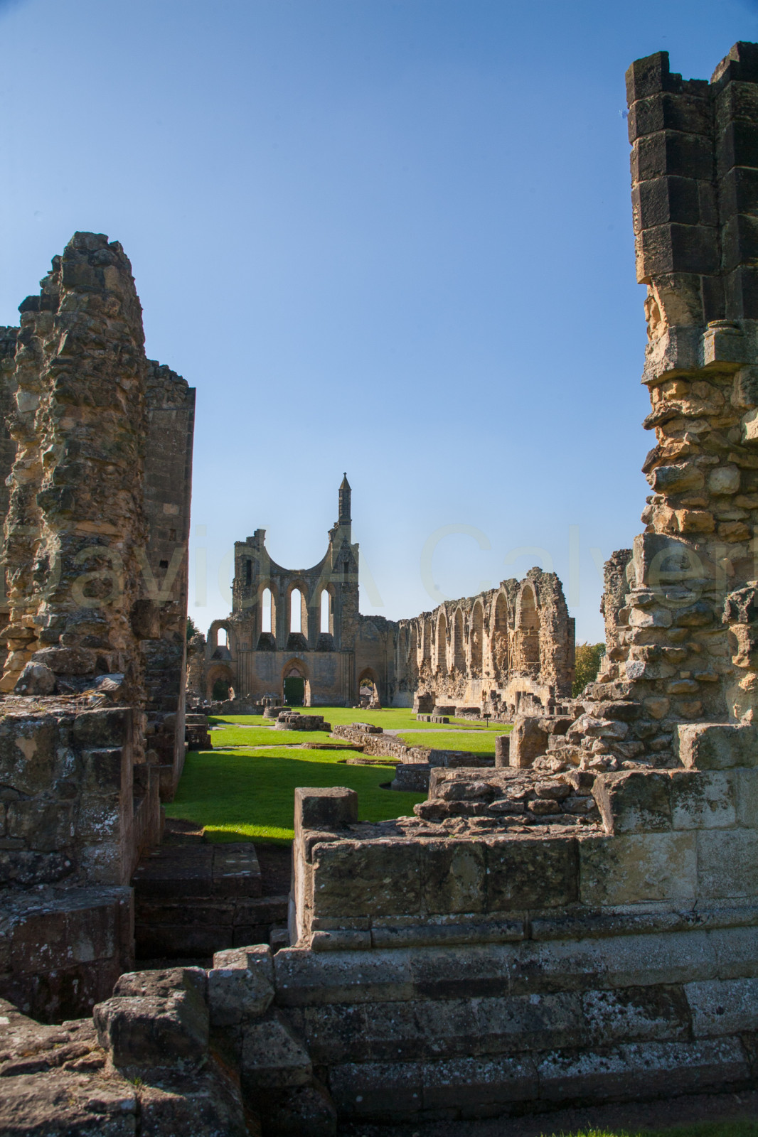 Byland_Abbey-024.jpg