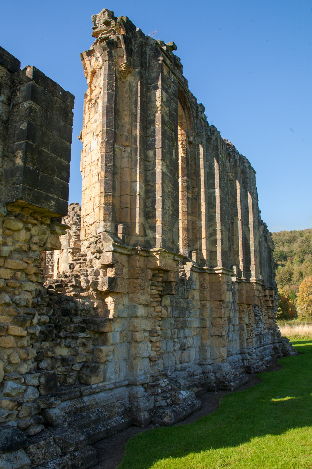 Byland_Abbey-025.jpg