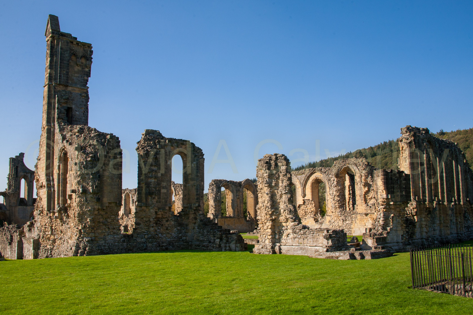 Byland_Abbey-027.jpg