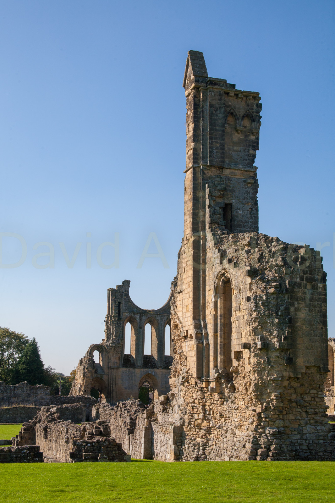 Byland_Abbey-028.jpg