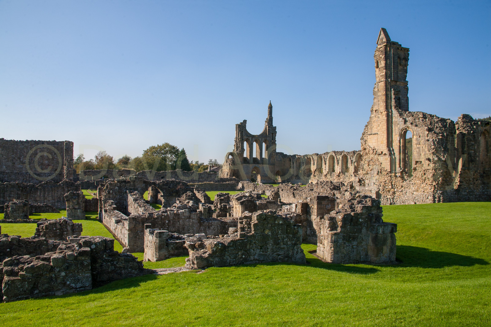 Byland_Abbey-029.jpg