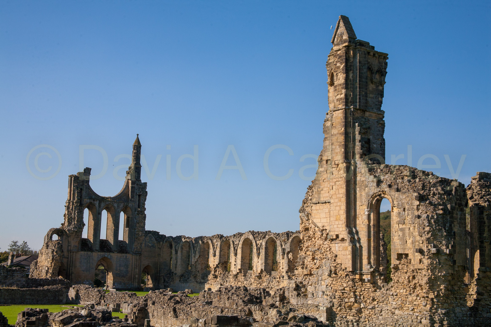Byland_Abbey-030.jpg