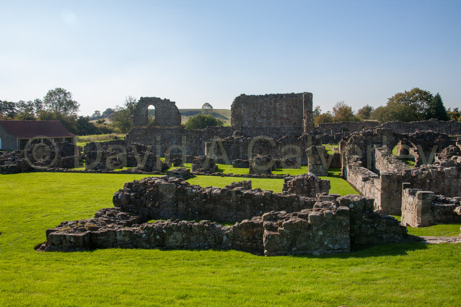 Byland_Abbey-032.jpg