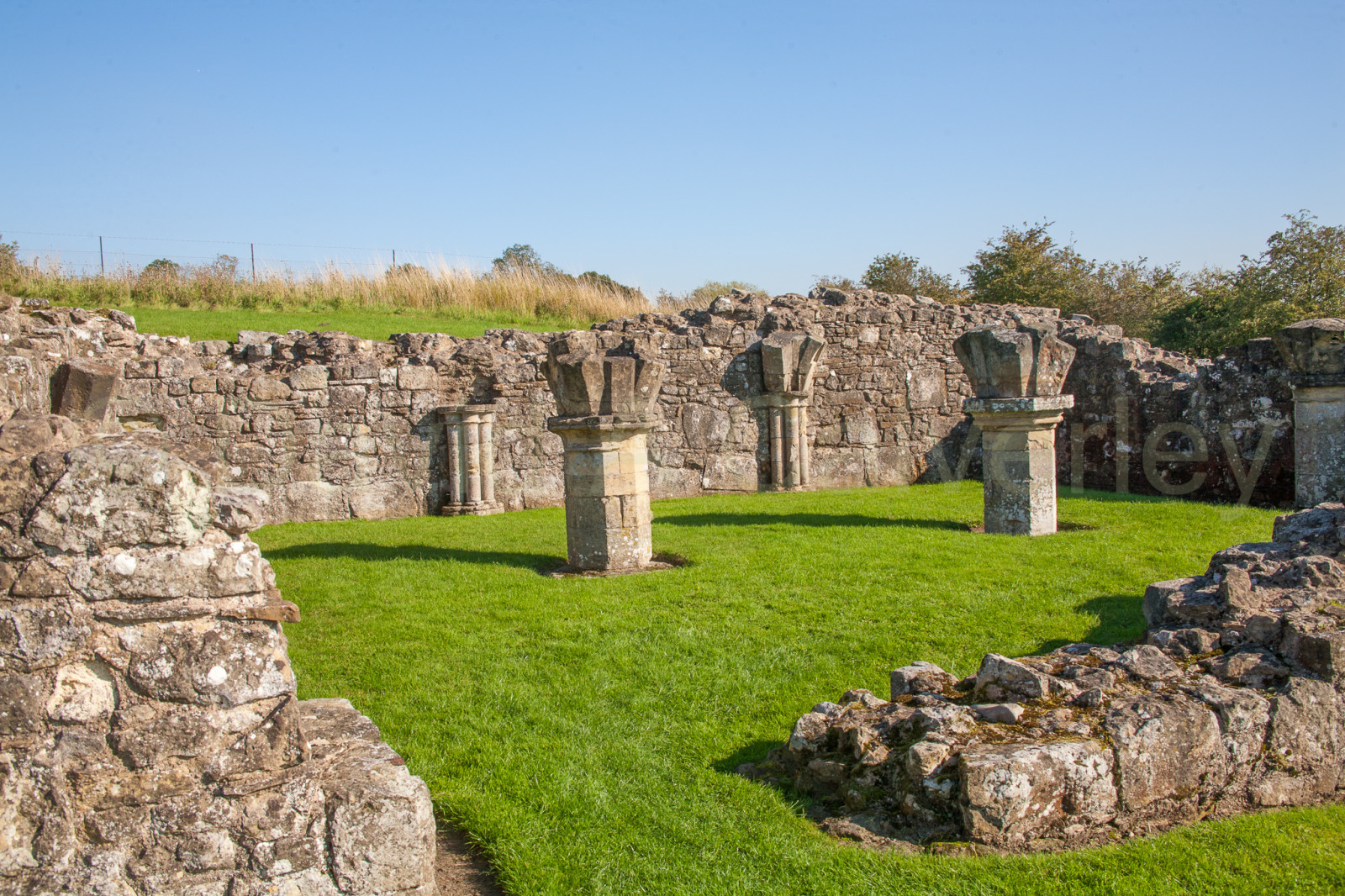 Byland_Abbey-033.jpg