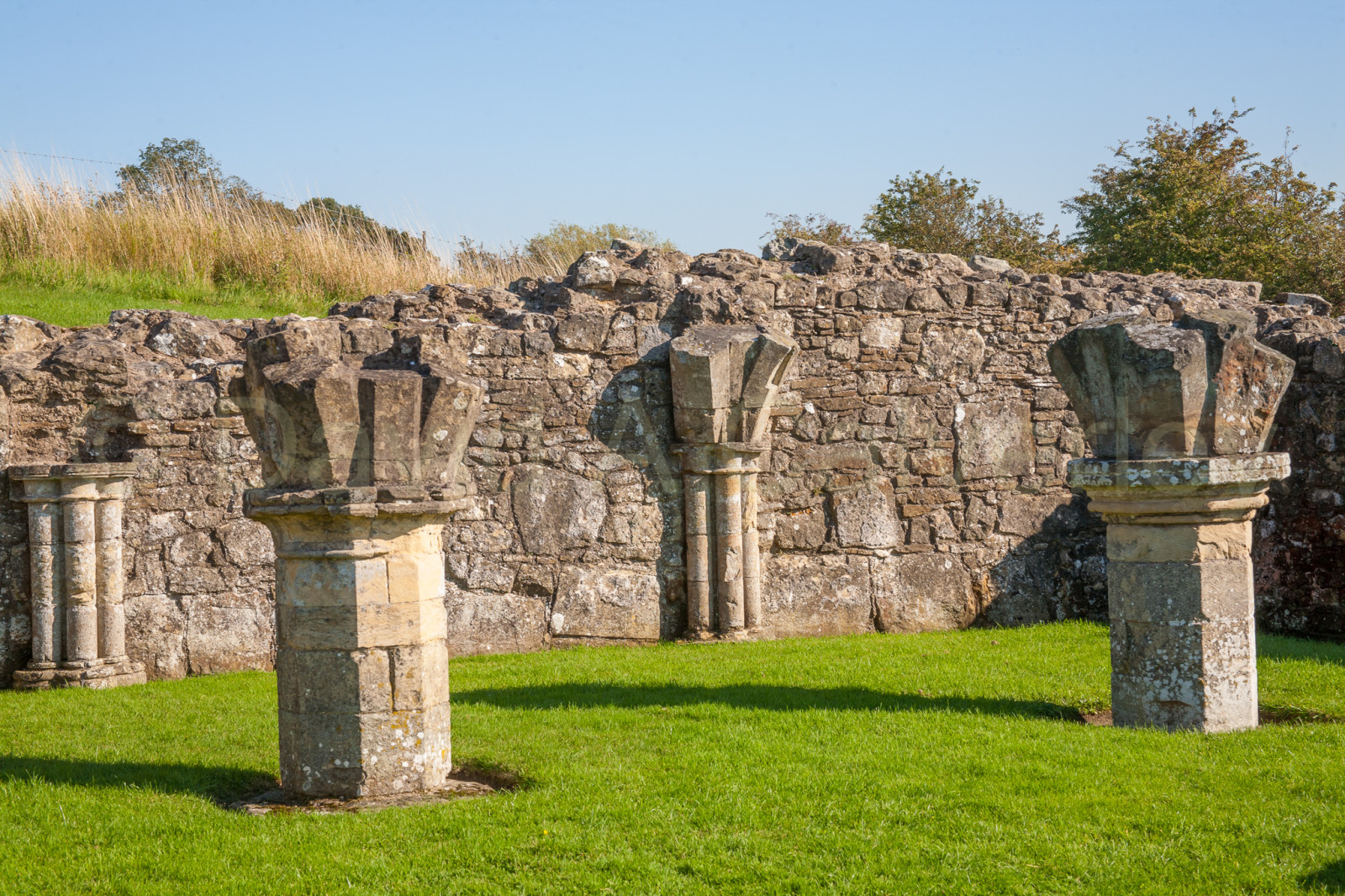 Byland_Abbey-035.jpg