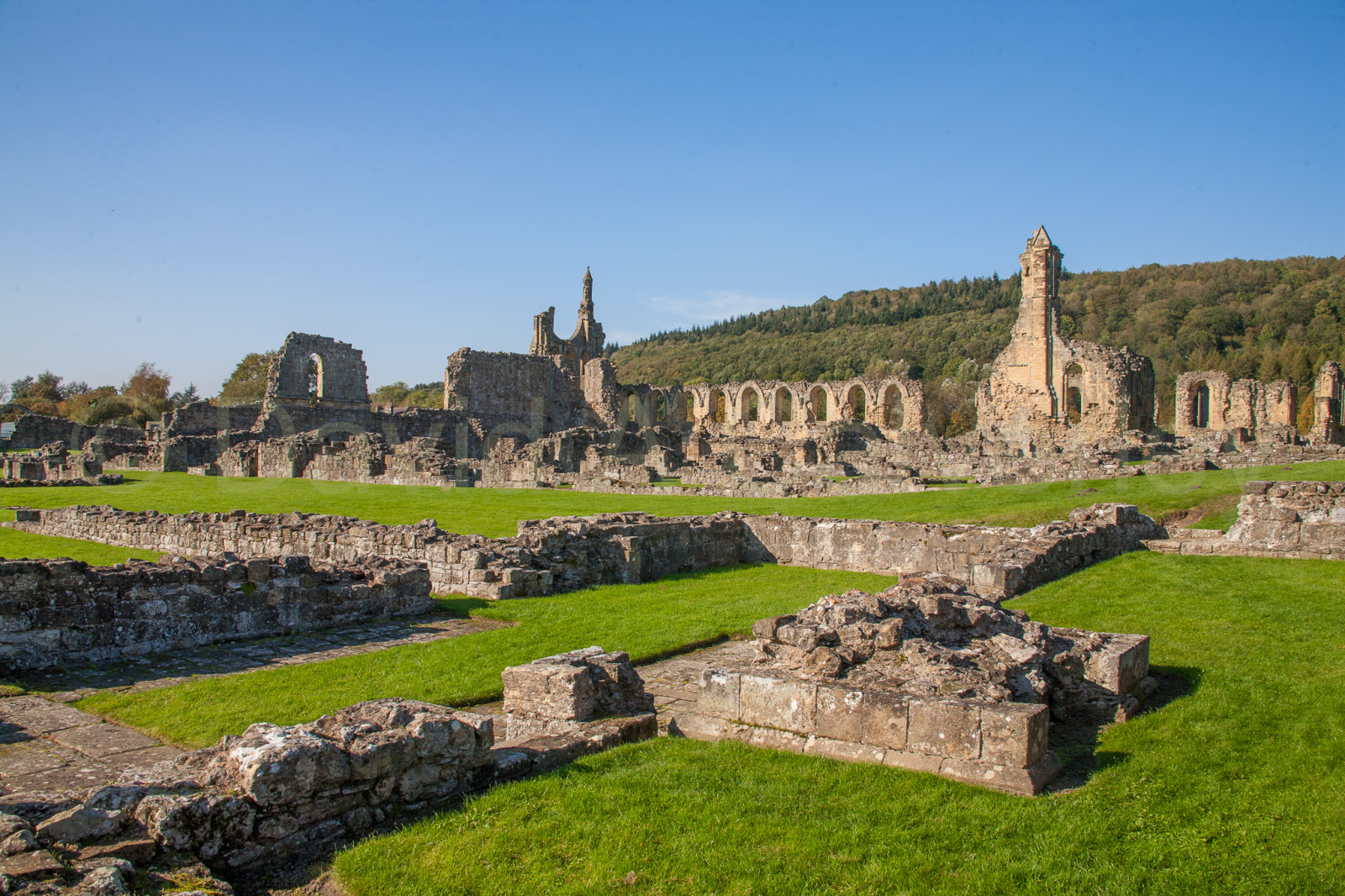 Byland_Abbey-036.jpg