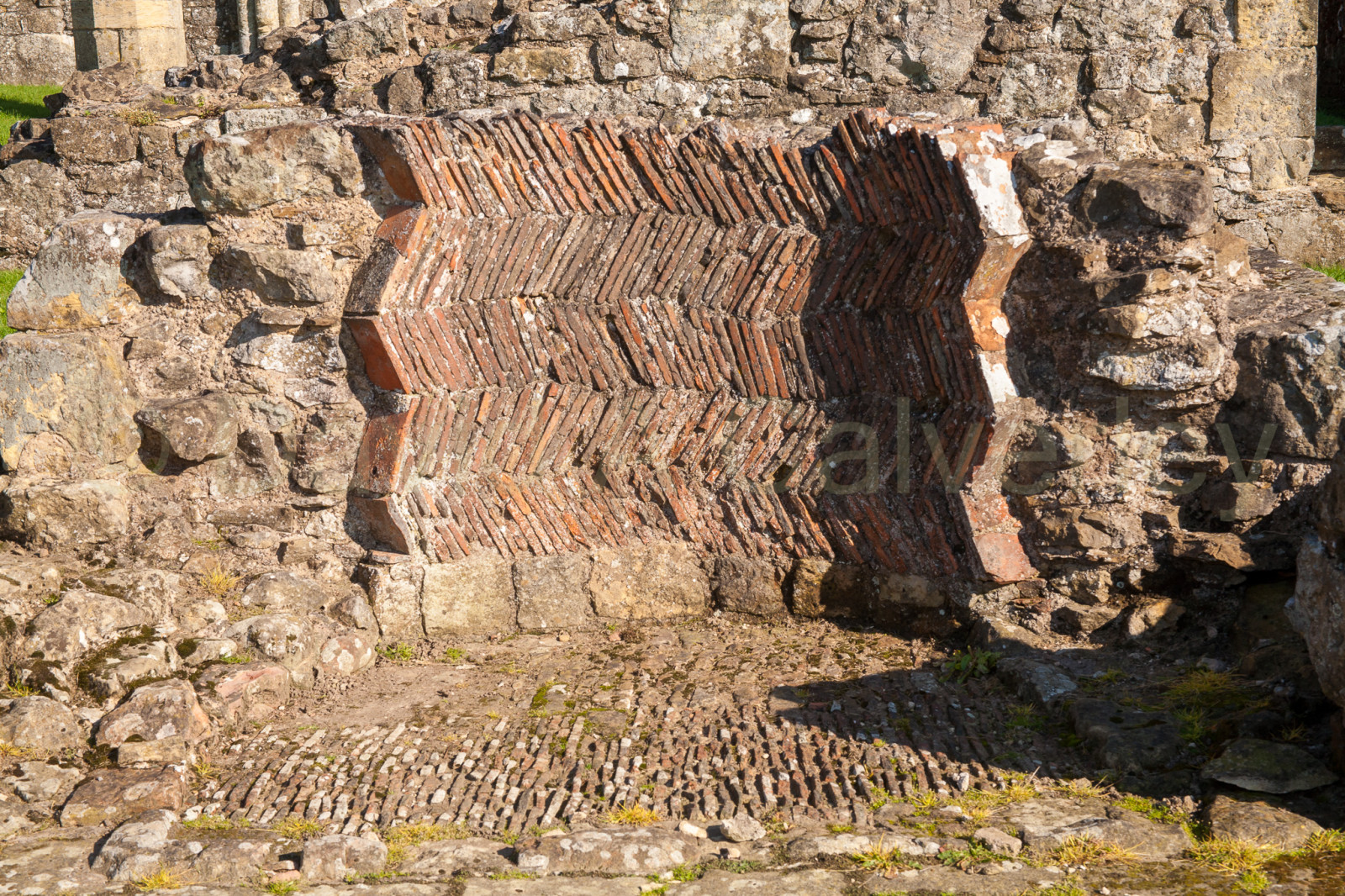 Byland_Abbey-040.jpg