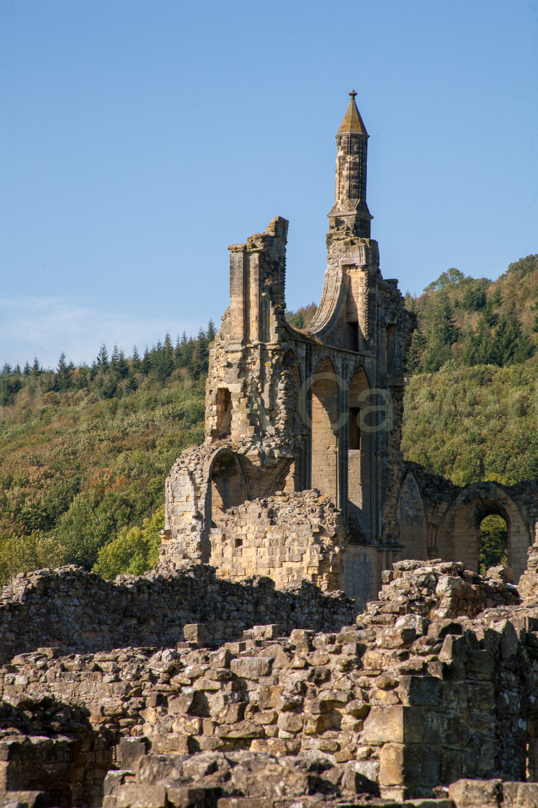 Byland_Abbey-042.jpg